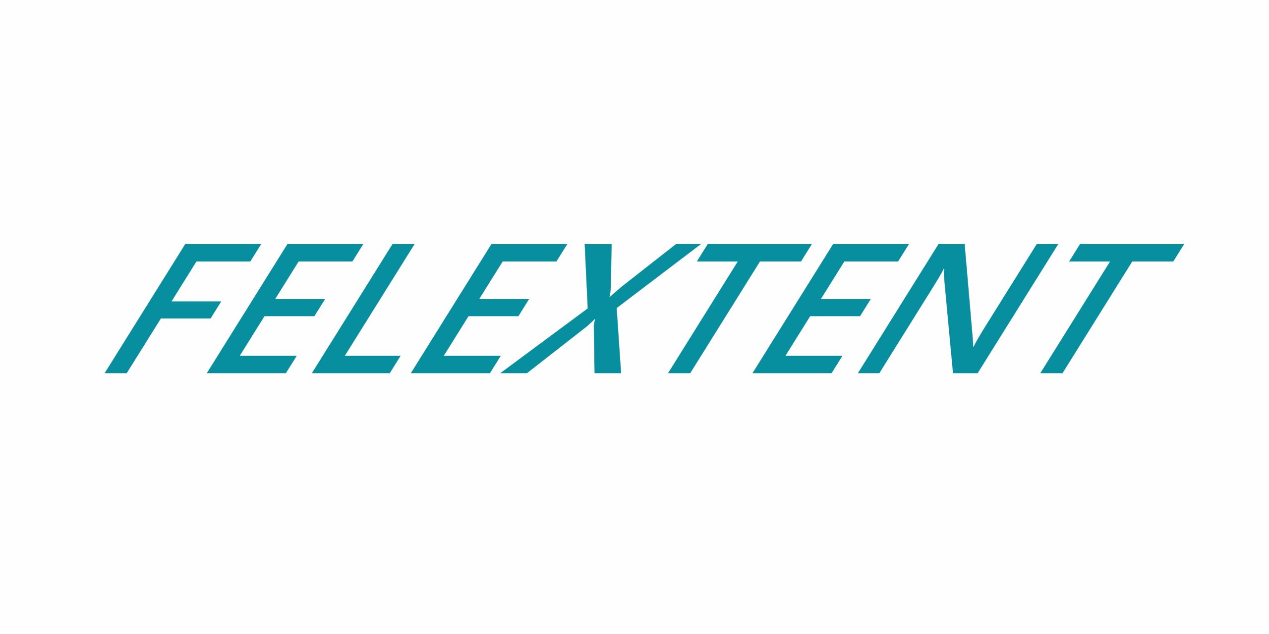 LOGO FELEXTENT _ HOME