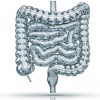 colon glass