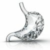 endo glass
