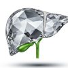 liver glass